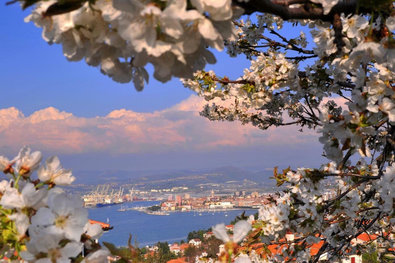 Razgled/The View Apartment Koper Bagian luar foto